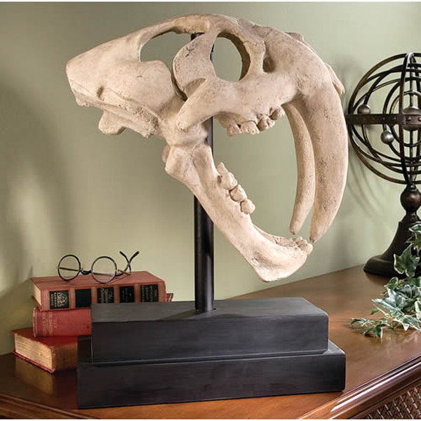 Saber toothed Tiger Skull Artifact Dino Statue Replica